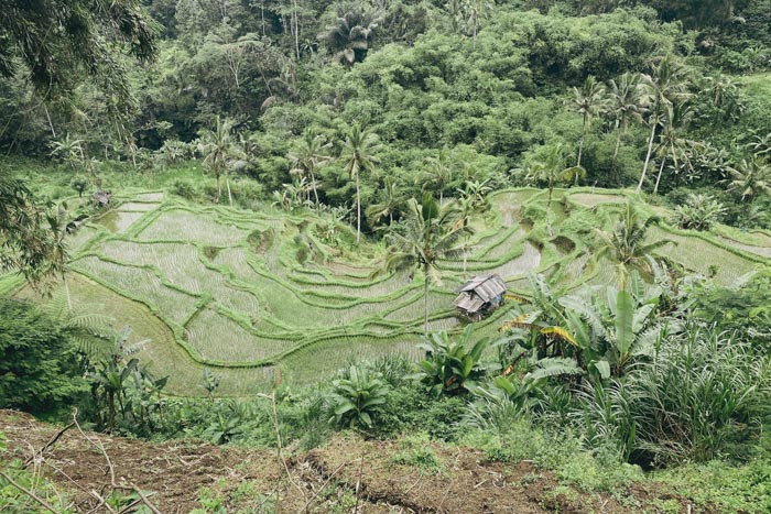 Indonesien(Bali)_T.Welz005_web