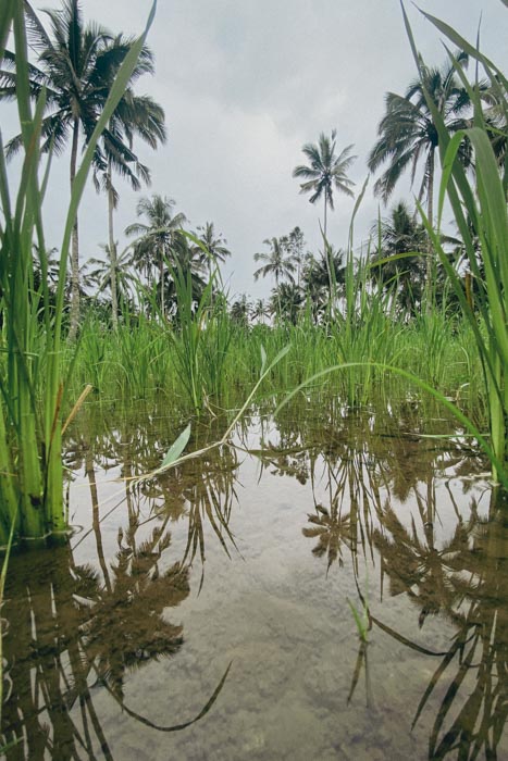 Indonesien(Bali)_T.Welz006_web