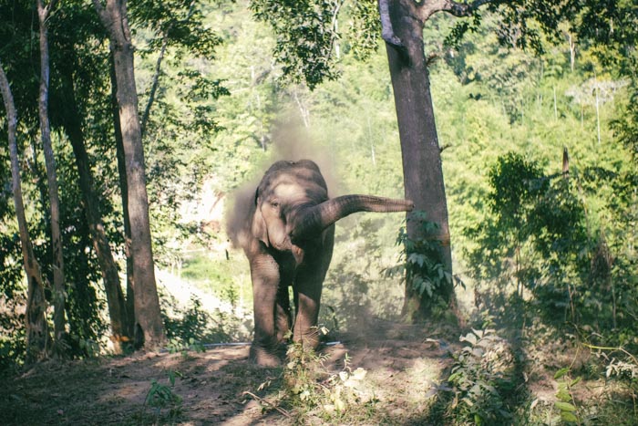 Thailand_T.Welz017_web