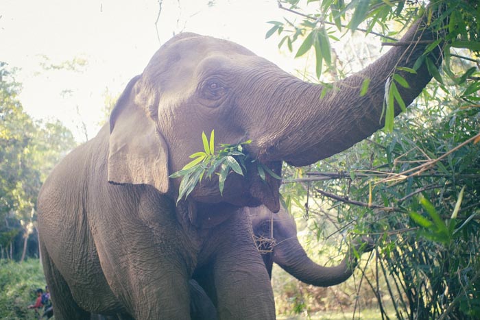 Thailand_T.Welz019_web